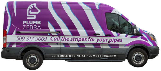 Plumb Zebra Van Image